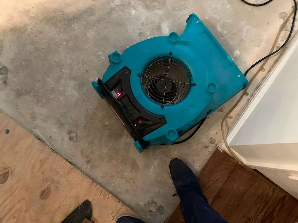 Air mover drying subfloor during Commercial Water Damage Restoration in Ringwood